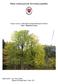 Štátna ochrana prírody Slovenskej republiky. Projekt ochrany chráneného stromu/chránených stromov Lipy v Rajeckej Lesnej