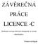 ZÁVĚREČNÁ PRÁCE LICENCE -C