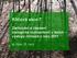 Klíčová akce 7 Zachování a zlepšení biologické rozmanitosti v lesích výstupy činnosti z roku 2011