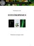 Teoretický úvod: FOTOTROPISMUS. Praktikum fyziologie rostlin