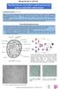 Saccharomyces cerevisiae a jejich pozorování pomocí optického mikroskopu