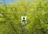 Česká republika 2012 Informace o nakládání s reprodukčním materiálem lesních dřevin OBSAH