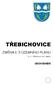 TŘEBICHOVICE. ZMĚNA č. 5 ÚZEMNÍHO PLÁNU ODŮVODNĚNÍ (K. Ú. TŘEBICHOVICE, SAKY)