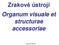 Zrakové ústrojí Organum visuale et structurae accessoriae. David Kachlík