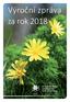 Výroční zpráva za rok 2018